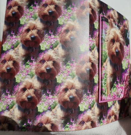 Yorkie Boy Backing Sheet by Joyce Perkins