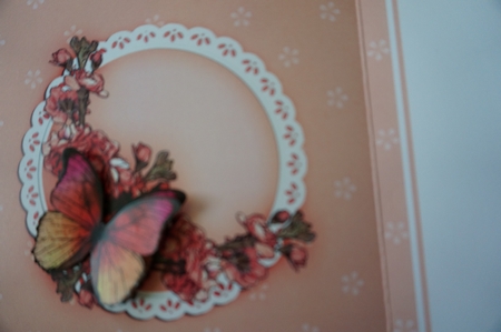 6x6 A Touch of Elegance Flowers and Butterflies matching insert by Joyce Perkins