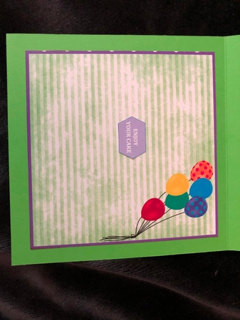 NOT SO DOPEY TO EAT CAKE BIRTHDAY MINIKIT by Joyce Perkins