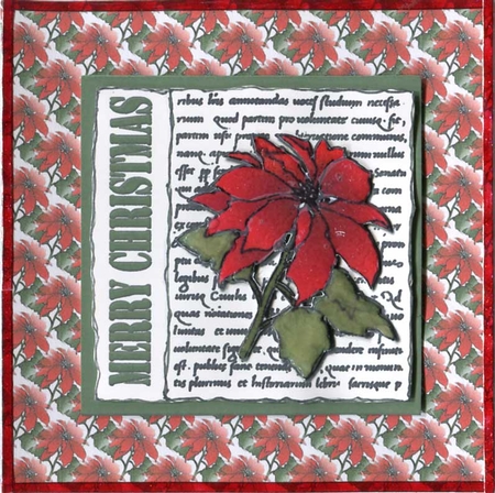 Poinsettia Panels by Judith Flavel