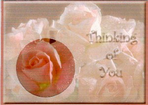 Peek-a-boo Roses in the Rain by Judith Flavel