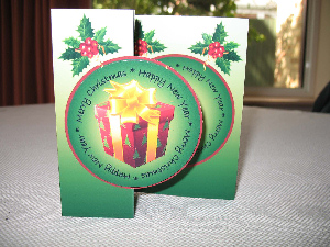 Christmas Parcel - Green by Judith Flavel