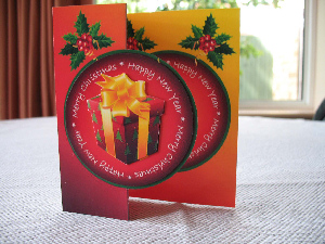 Christmas Parcel - Red by Judith Flavel