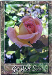 Rose Circular Pyramid by Judith Flavel