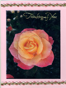 Rose 3D Step by Step by Judith Flavel