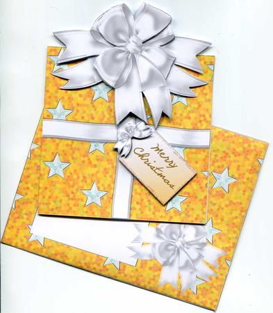 Christmas Parcel - Gold & White with Stars by Judith Flavel