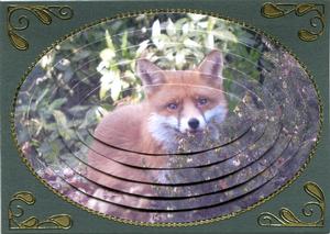 Fox - Oval Pyramid by Judith Flavel