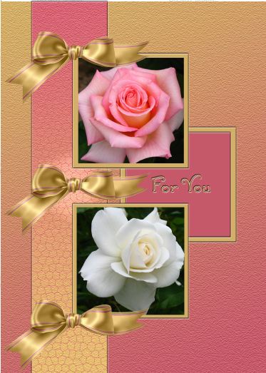 Roses & Gold Bows by Judith Flavel