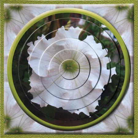 Circular Easy-position Pyramid - Morning Glory by Judith Flavel