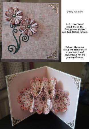 Pop-flower Card Kit - Daisy Ring by Judith Flavel