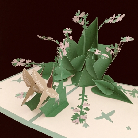 Hosta and Hummingbirds Pop Up Card by Judith Henry