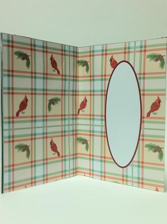 Cardinal Insert by judy borutski