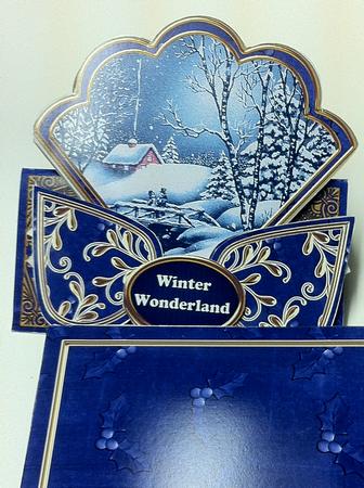 Blue Winter Walk Winter Wonderland Scallop Trio Kit by judy borutski