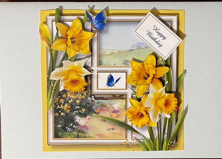 Daffodils Of Yellow by Julianne Harris