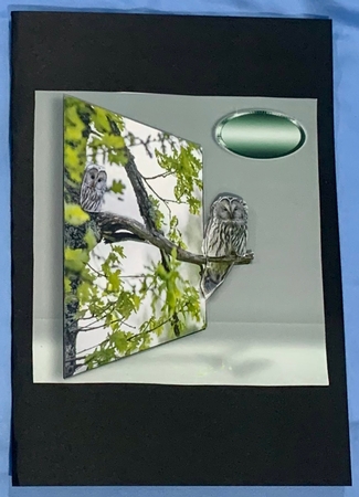 owls by Julianne Harris