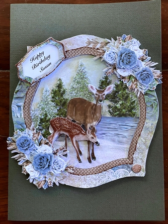Winter Lake Papers by Julianne Harris