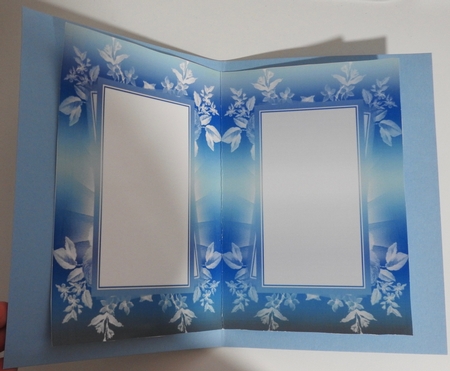 Bold Gradient Inserts by Julianne Harris