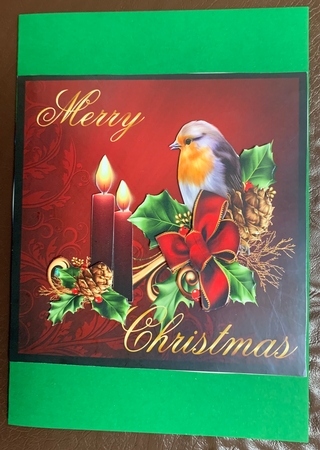 Merry Christmas Robin 1 by Julianne Harris