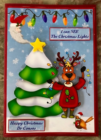 Rudolph in a muddle A5 by Julianne Harris