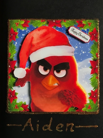 Christmas Angry Bird  8x8 by Julianne Harris