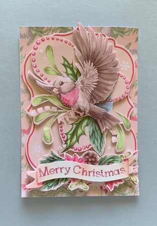 Festive Friends robin by Julianne Harris