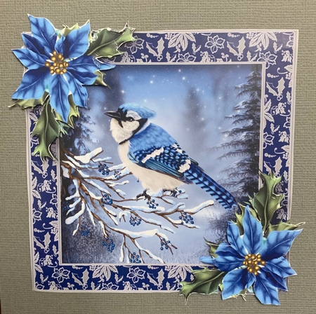 Beautiful Birds In Winter Bumper Kit by Julianne Harris