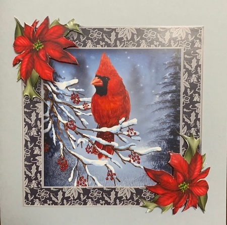 Beautiful Birds In Winter Bumper Kit by Julianne Harris