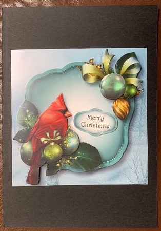 Christmas Cardinal by Julianne Harris