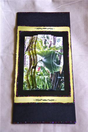 Staghorn Fern Wavy Pyramid by Julianne Harris