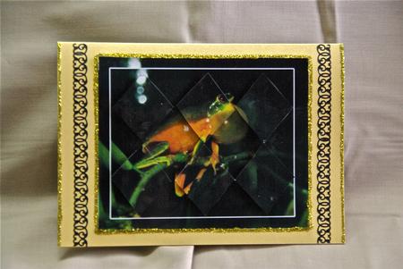 Daintee Tree Frog Diamond Stacker by Julianne Harris