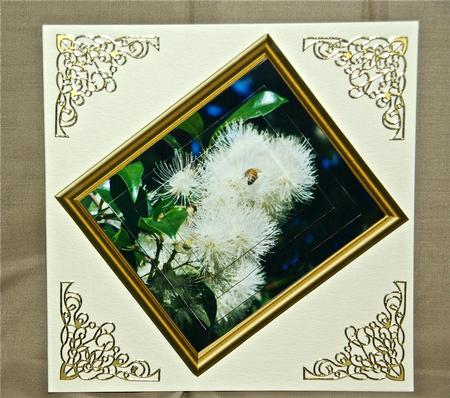 Aussie Natives - Lilly Pilly Pyramid Topper by Julianne Harris