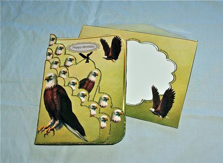 Eagle Scalloped Pocket Card Kit by Julianne Harris