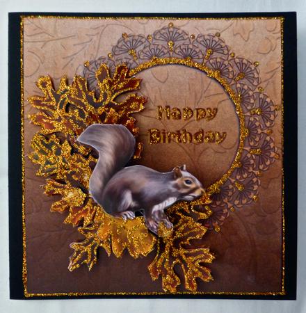 Happy Birthday Squirrel by Julianne Harris