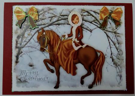 Pretty Lady Riding a Horse in the Snow by Julianne Harris