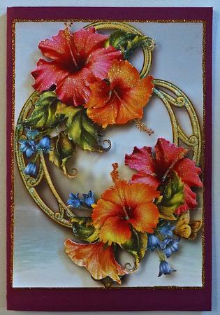 Beautiful Hibiscus Blooms on Golden Frame by Julianne Harris