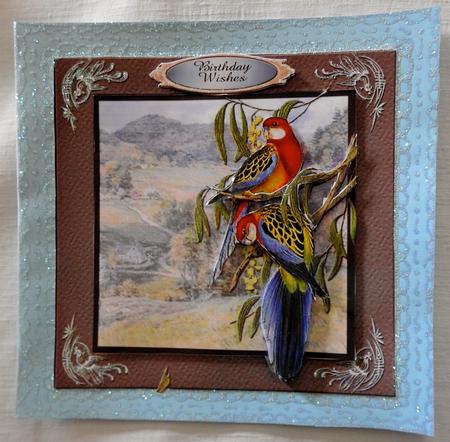 2 Australian Rosellas Card Front by Julianne Harris