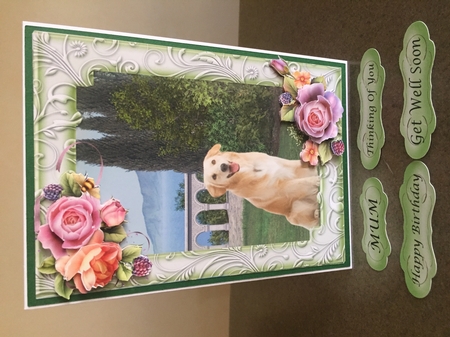 Labrador in the garden with frame by JULIE ALSAADY
