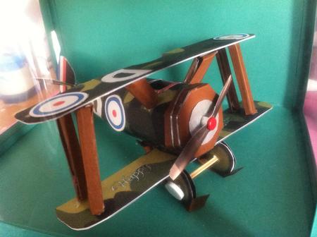 Lest We Forget Biplane by Julie Danks
