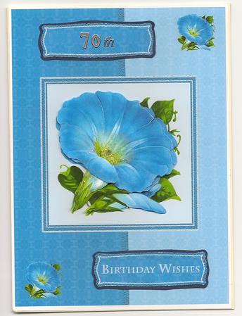 Morning Glory by Julie Hart