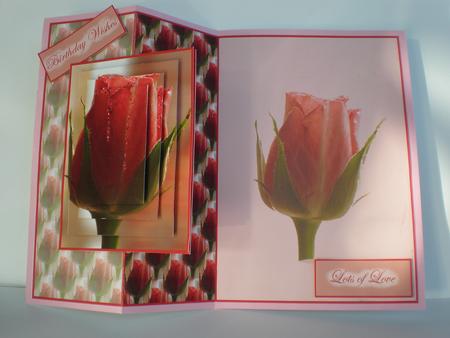 Pink Rose Fold Back by Julie Hart