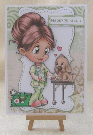 My favorite vet mini kit by Julie Jenner