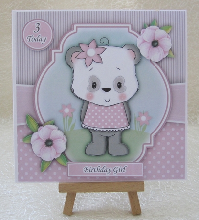 Panda Girl 2 Mini Kit With Ages 1 to 7 Years by Julie Jenner