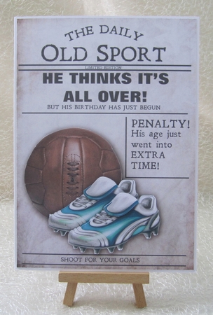 The Football Fan by Julie Jenner