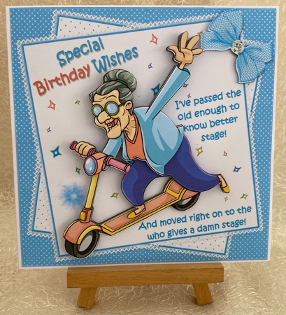 8x8 Sally grows old gracefully mini kit by Julie Jenner