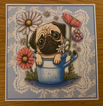 8x8 Mini Kit, Pug in a Watering Can by Julie Jenner