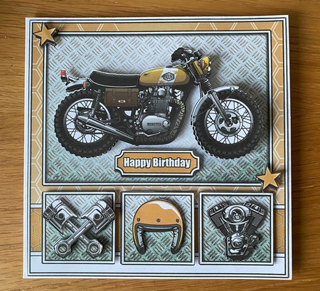 Born To Ride by Julie Jenner