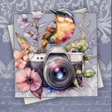 Bird Watching Mini Kit #1 by Julie Jenner