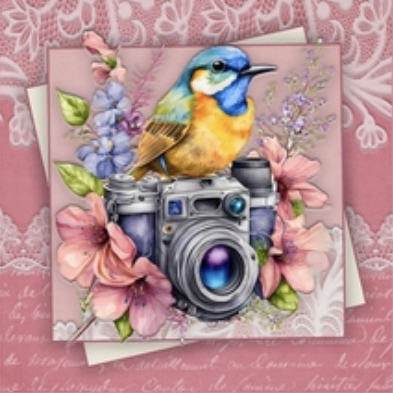 Bird Watching Mini Kit #2 by Julie Jenner