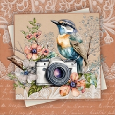Bird Watching Mini Kit #3 by Julie Jenner