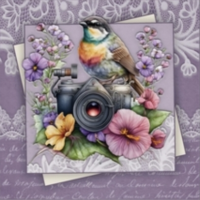 Bird Watching Mini Kit #4 by Julie Jenner